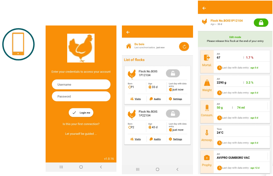 Déroulé des écrans mobile pour saisir les informations techniques journalières d'un lot de poulets comme la mortalité, le poids, etc